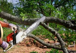 Landscape Design and Installation in Lake Elmo, MN